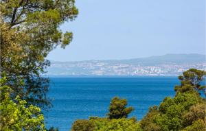 a view of the ocean from a hill with trees at Lovely Apartment In Malinska With Wifi in Malinska +16 photos