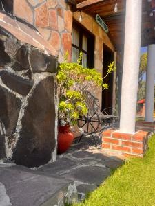 Zahrada ubytování Cabañas Cumbres de Aguacatitla