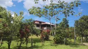 Gallery image of Casa Drake Lodge in Drake