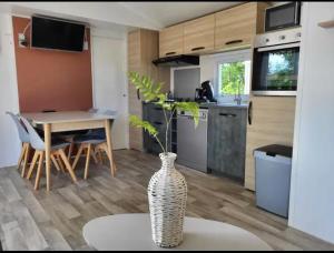 a vase with a plant in the middle of a kitchen at Chalet tussen Zee en Meer in Lauwersoog