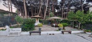a patio with benches and umbrellas in front of trees at Casa vacanze Grimaldi Paestum in Paestum