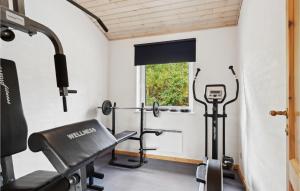 a fitness room with a treadmill and a window at Lovely Home In Fjerritslev With Wifi in Fjerritslev +19 photos