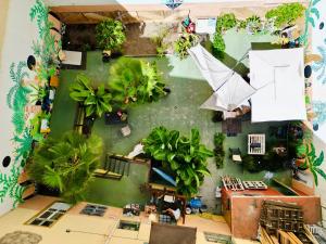 Vonkajšia záhrada v ubytovaní Jungle House