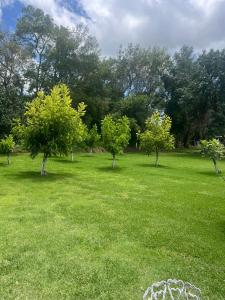 Zahrada ubytování Cabañas Cumbres de Aguacatitla