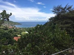 a view of the ocean from a hill with trees at Chalet Flambwayan, quiet, peaceful and well located in Les Anses-dʼArlets