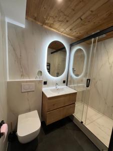 ein Badezimmer mit Waschbecken, Toilette und Spiegel in der Unterkunft Très joli T2 in Villard-de-Lans