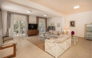 a living room with two couches and a tv at 4 Bedroom Awesome Home In Barbat in Barbat na Rabu