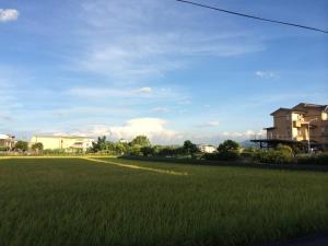 度假屋周边自然景观