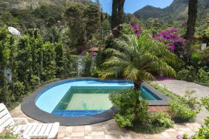 a swimming pool in a garden with a palm tree at Chalé Rosa do Vale in Petrópolis