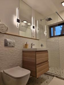 a bathroom with a toilet and a sink and a mirror at Luna Retreat in Muntele Cacovei +14 photos