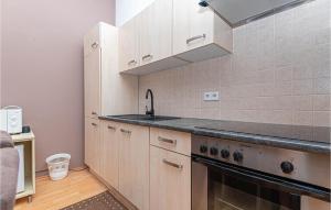 Kuchyňa alebo kuchynka v ubytovaní Apartment Vodice With Sea View 11