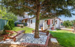 Zahrada ubytování Holiday Home Fazana 22 + 26 fotografií
