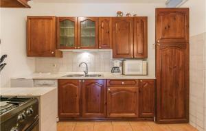 Kuchyňa alebo kuchynka v ubytovaní Apartment Dracice Vi