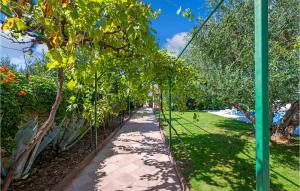 Zahrada ubytování Holiday Home Tribunj-Sovlje Dubravice + 37 fotografií