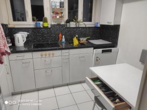 A kitchen or kitchenette at Single Room In Very Quiet & Cosy House With Garden