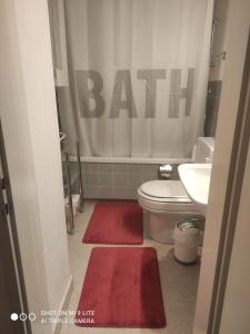 a bathroom with a toilet and a sink with red rugs at Single Room In Very Quiet & Cosy House With Garden in Dübendorf +9 photos