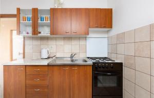 kuchnia z drewnianymi szafkami, zlewem i kuchenką w obiekcie Lovely Apartment In Rasopasno With Wifi w mieście Rasopasno