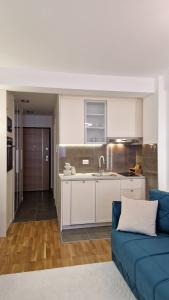 Η κουζίνα ή μικρή κουζίνα στο APARTMAN PLAVA LAGUNA -Crnjanski