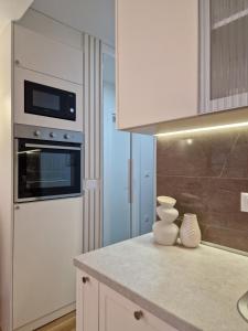 Η κουζίνα ή μικρή κουζίνα στο APARTMAN PLAVA LAGUNA -Crnjanski
