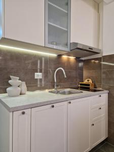 Η κουζίνα ή μικρή κουζίνα στο APARTMAN PLAVA LAGUNA -Crnjanski