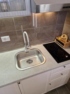 Η κουζίνα ή μικρή κουζίνα στο APARTMAN PLAVA LAGUNA -Crnjanski