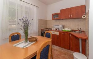Kuchyňa alebo kuchynka v ubytovaní Pet Friendly Home In Novi Vinodolski