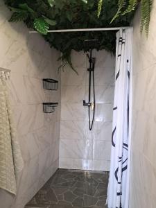 a shower in a bathroom with a shower curtain at Casa Vintage Seixal Madeira in Seixal