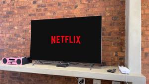 a television screen with the netflix sign on a brick wall at Highland Peace Haven In Dullstroom in Dullstroom