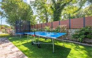 Stolní tenis v ubytování Stunning Home In Svet Vid Dobrinjski nebo okolí + 37 fotografií