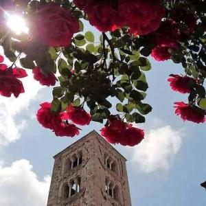 Fotografie z fotogalerie ubytování Nido d'amore v destinaci Anagni