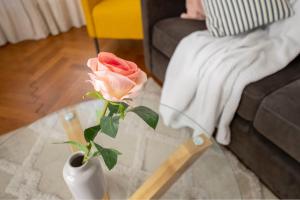 * Le Provencal * cosy flat 3 min walk from the sea