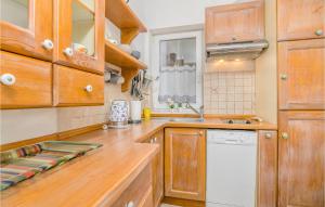 kuchnia z drewnianymi szafkami i białą zmywarką do naczyń w obiekcie Cozy Apartment In Cizici w mieście Čižići