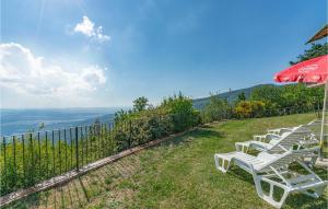 Příroda nedaleko prázdninového domu