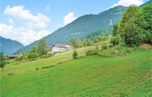 a green field with a house on the side of a hill at Schoene Ferienwohnung in Sankt Gallenkirch +10 photos