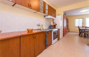 Η κουζίνα ή μικρή κουζίνα στο Awesome Home In Benkovac With Wifi