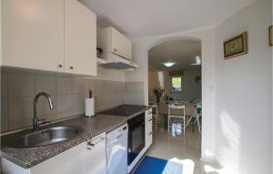 Kuchyň nebo kuchyňský kout v ubytování Holiday Home Santalezi Croatia