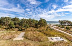 an aerial view of a beach with trees and the ocean at Prince in Binz