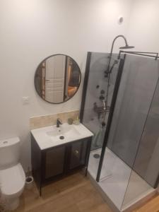 a bathroom with a sink and a mirror and a toilet at studio indépendant proche de la mer LE Bon Secours in Dieppe