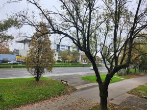 een park met twee bomen en een bankje naast een straat bij RingPeace Apartment, Trnsko in Zagreb