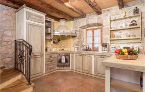 Kuchyň nebo kuchyňský kout v ubytování Cozy Home In Kras With Wifi