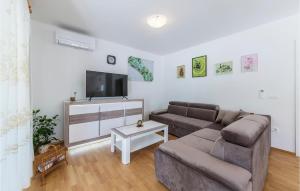 Μια τηλεόραση ή/και κέντρο ψυχαγωγίας στο 6 Bedroom Cozy Home In Labin