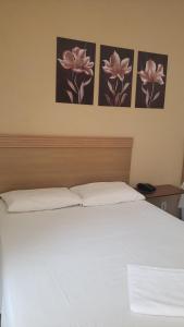 Fotografie z fotogalerie ubytování Hotel Flamboiã v destinaci Araraquara