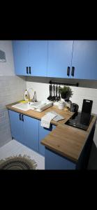 Billede fra billedgalleriet på Brioni House i Ribare