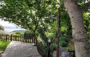 Príroda v okolí apartmánu + 28 fotografií