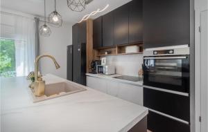 Η κουζίνα ή μικρή κουζίνα στο Awesome Home In Drivenik With Jacuzzi +24 φωτογραφίες