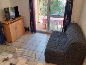 a living room with a couch and a tv and a table at Bel appartement bord de mer in Cerbère