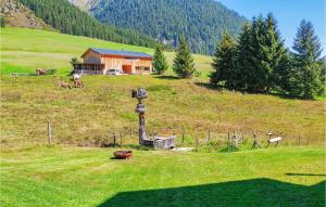 pole z domem na wzgórzu ze zwierzętami w obiekcie Ferienhaus Naehe Ischgl w mieście Mathon +12 zdjęć
