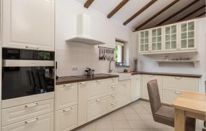 Η κουζίνα ή μικρή κουζίνα στο Awesome Home In Gostinjac With Kitchen