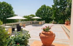 A garden outside Beautiful Home In Castiglion Fiorentino