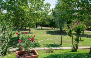 A garden outside Beautiful Home In Castiglion Fiorentino